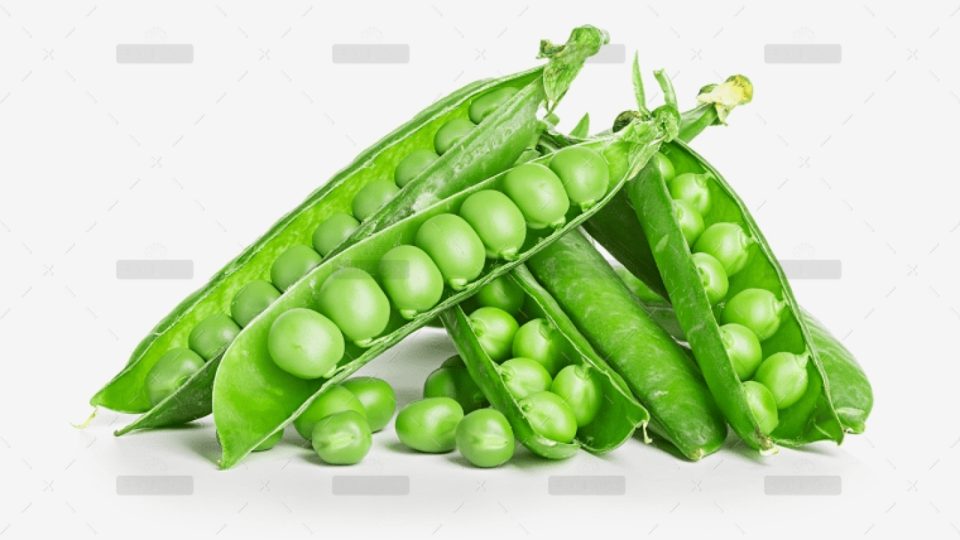 demo-attachment-39-Group-8053