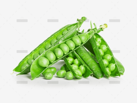 demo-attachment-39-Group-8053