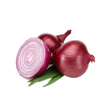 Onion (Copy)