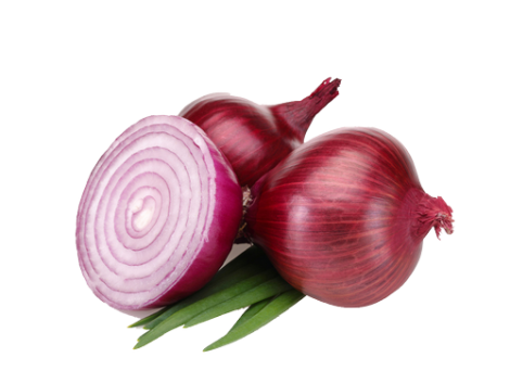 Onion (Copy)