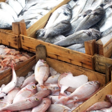 Pakistani-seafood-export