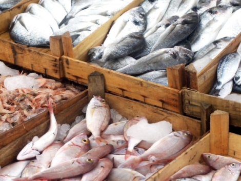 Pakistani-seafood-export