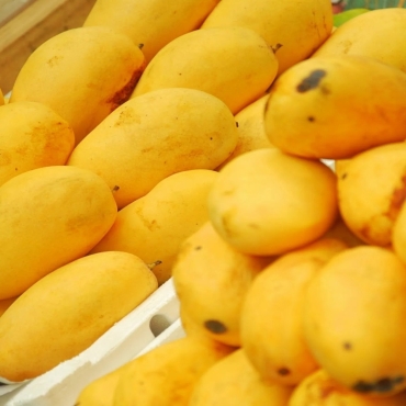 ezgif.com-webp-to-jpg (2)