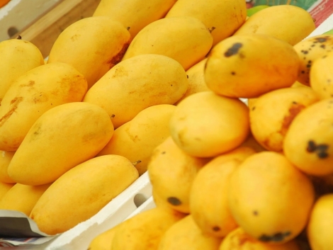 ezgif.com-webp-to-jpg (2)