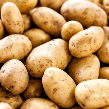 iC7HBvohbJqExqvbKcV3pP (Copy)