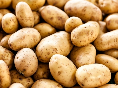 iC7HBvohbJqExqvbKcV3pP (Copy)